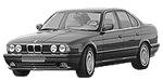 BMW E34 B3645 Fault Code