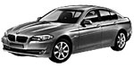 BMW F10 B3645 Fault Code